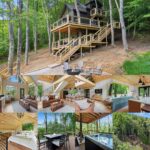 Jay Bear’s Retreat Jay Bear’s Retreat