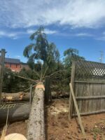 KJE Services KJE Services