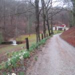 Campbells Hollow Cottages